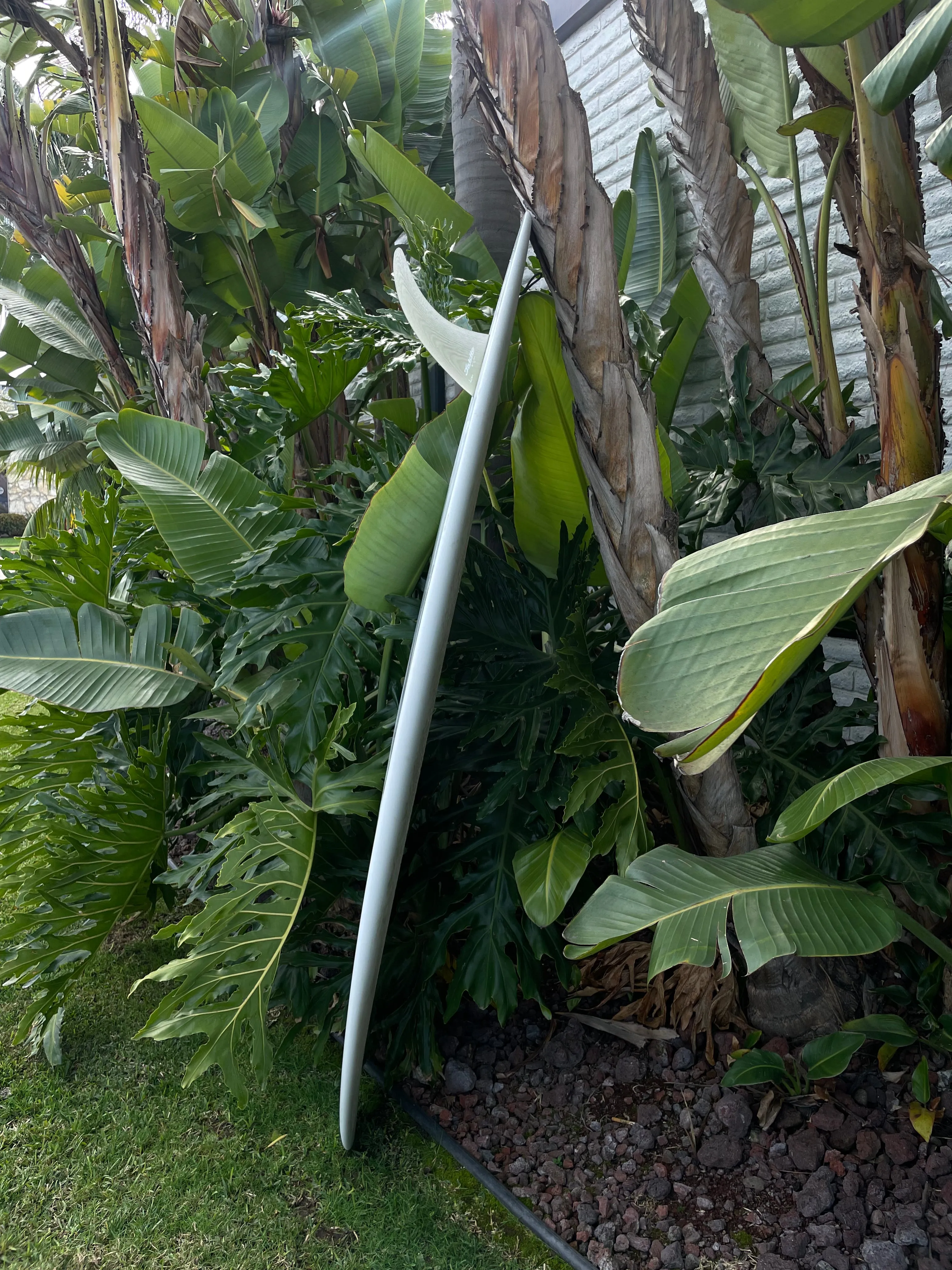 6'10" Elmore Pusher (Used)
