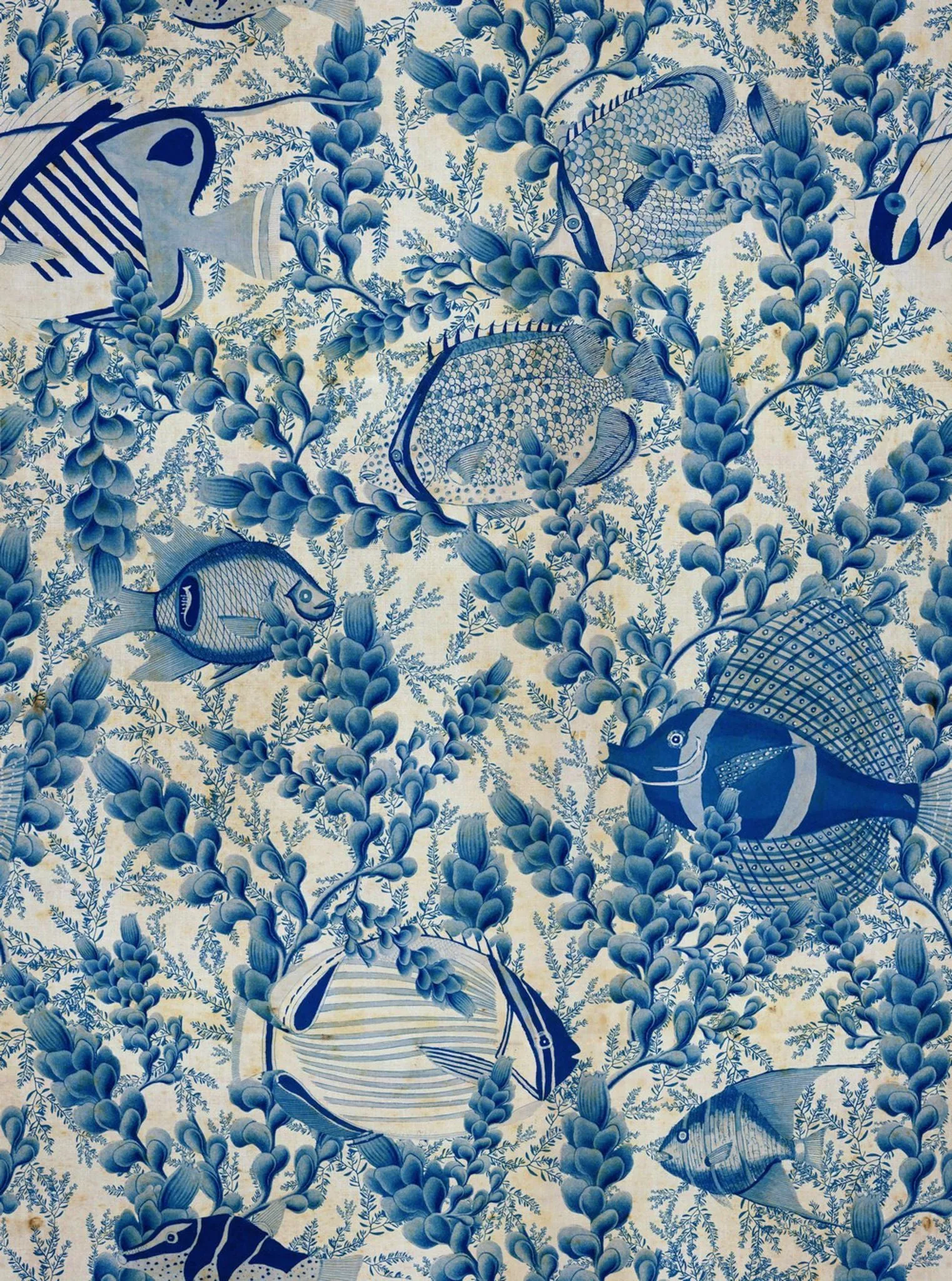 AQUARIUM Indigo Wallpaper