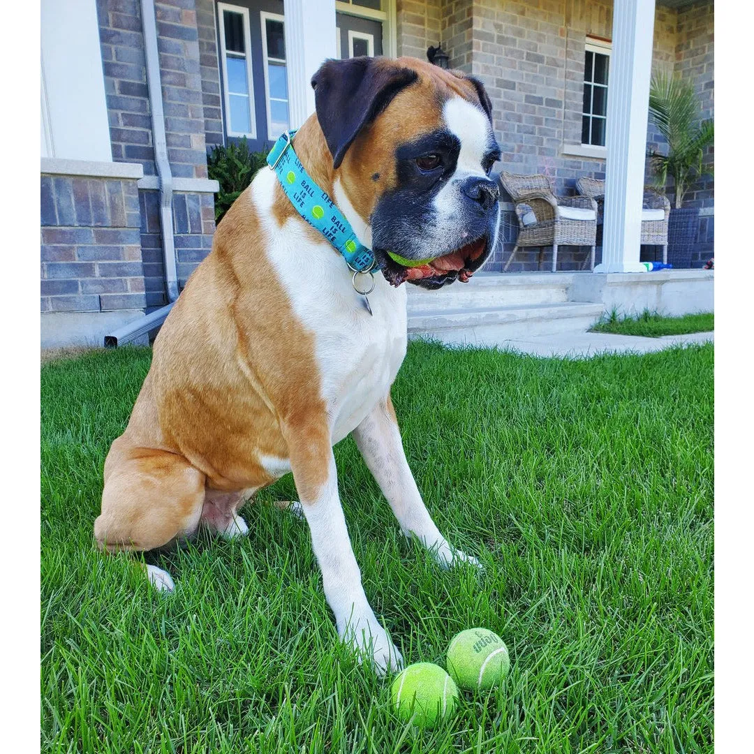 Ball Is Life - Blue