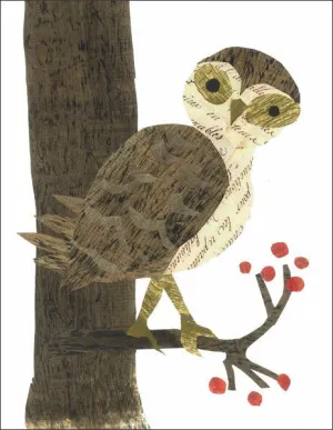 Barn Owl With Berries
