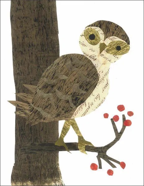 Barn Owl With Berries