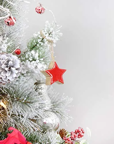 Farmhouse Star Ornaments (Red, Case of 720)
