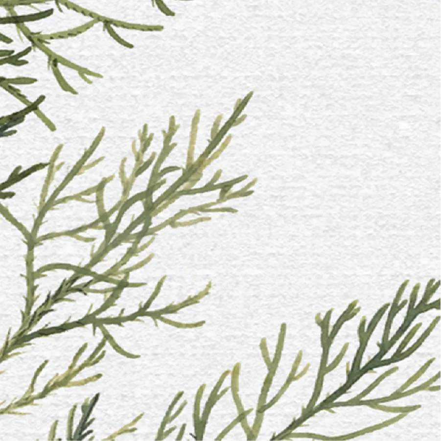Juniper Art Print | Vintage Art: 8x10in