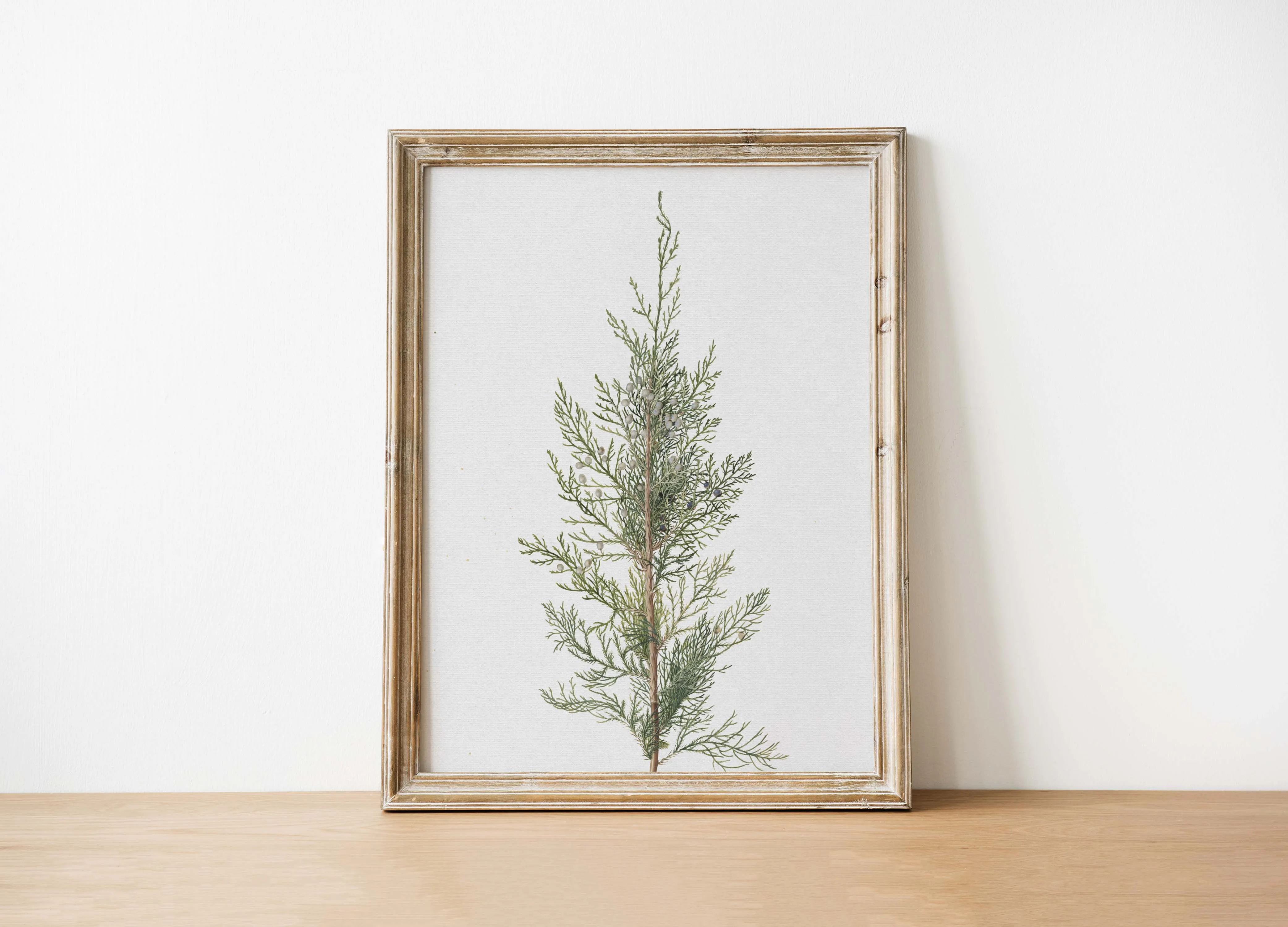 Juniper Art Print | Vintage Art: 8x10in