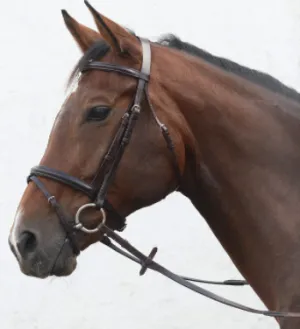 Mackey Classic Hunt Bridle X-Full