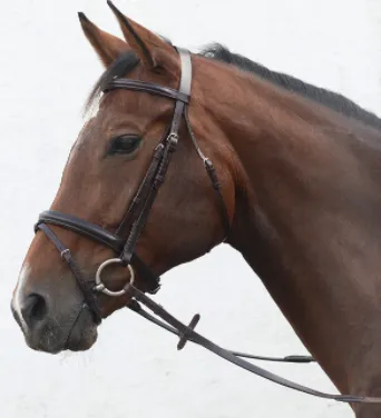 Mackey Classic Hunt Bridle X-Full
