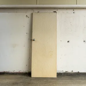 Midcentury Wood Panel Door
