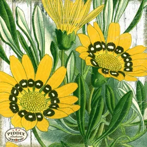 PDXC3859c -- Flowers on Distressed Wood