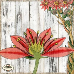 PDXC3948c -- Flowers on Distressed Wood