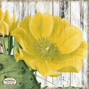 PDXC3968c -- Flowers on Distressed Wood