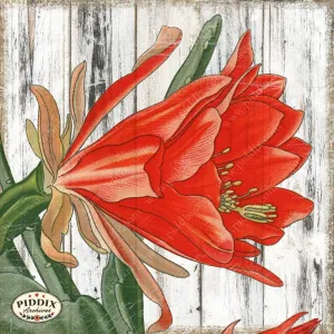 PDXC4003c -- Flowers on Distressed Wood