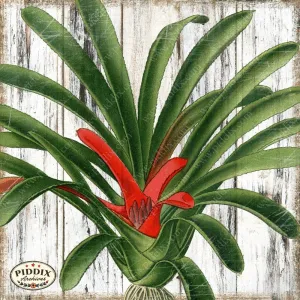 PDXC4095c -- Flowers on Distressed Wood