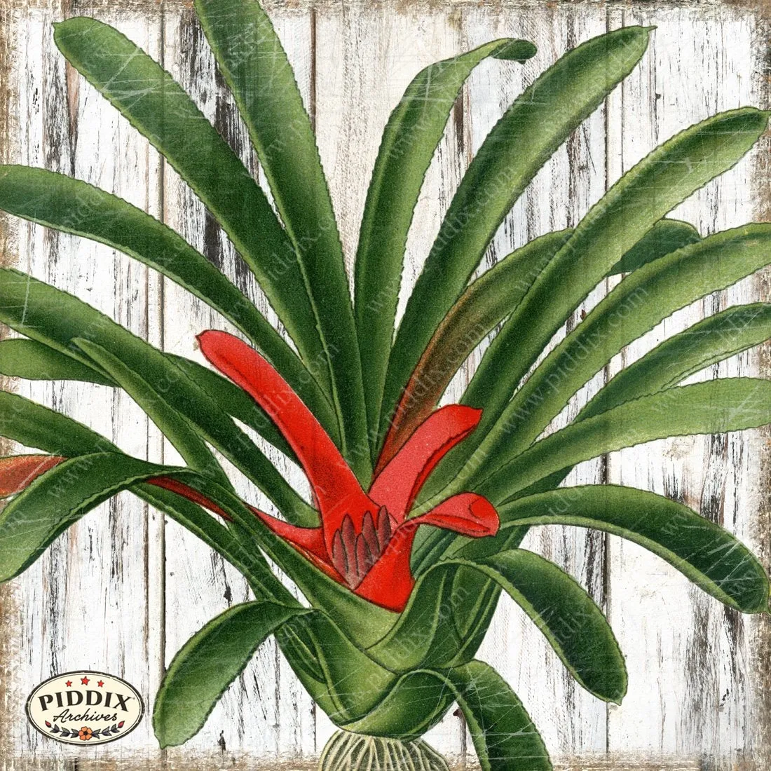 PDXC4095c -- Flowers on Distressed Wood