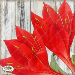 PDXC4103c -- Flowers on Distressed Wood