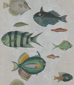 POISSONS Grey Wallpaper