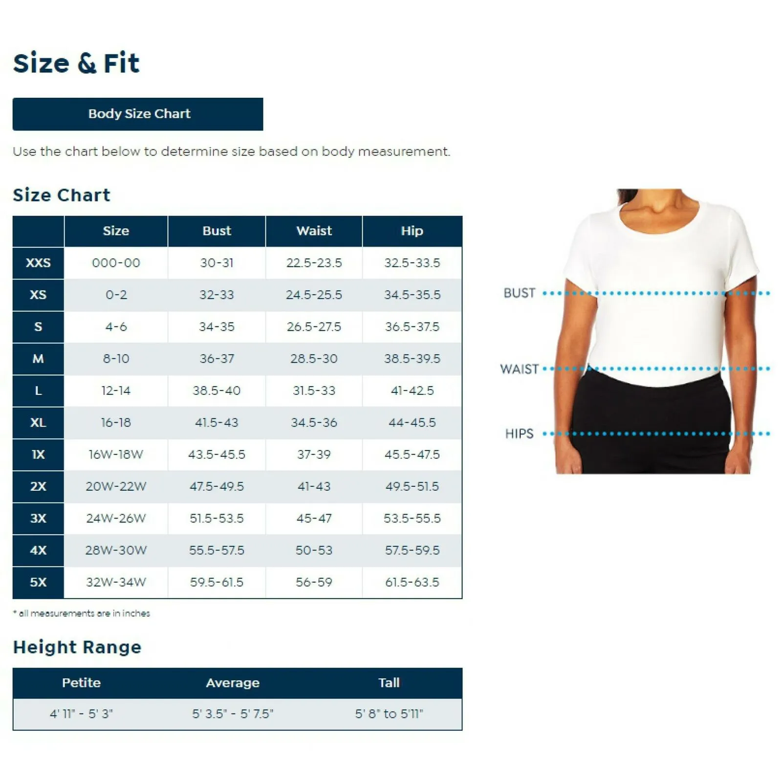 Slinky Brand Women's 3/4-Sleeve Pucker Knit Foil T-Shirt