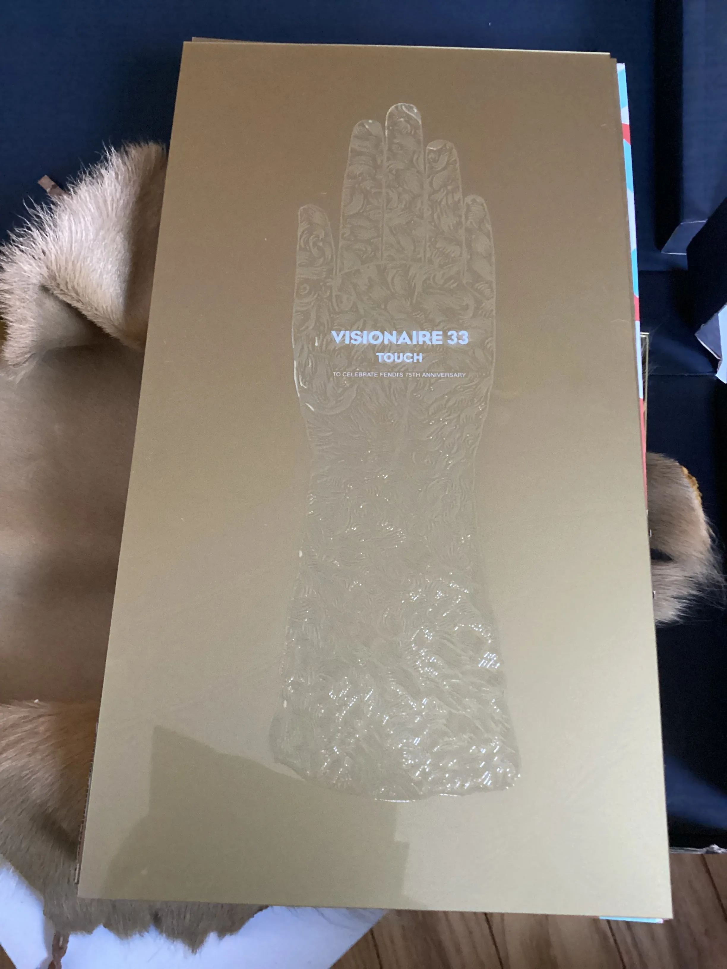 Visionaire 33 "Touch" Fendi