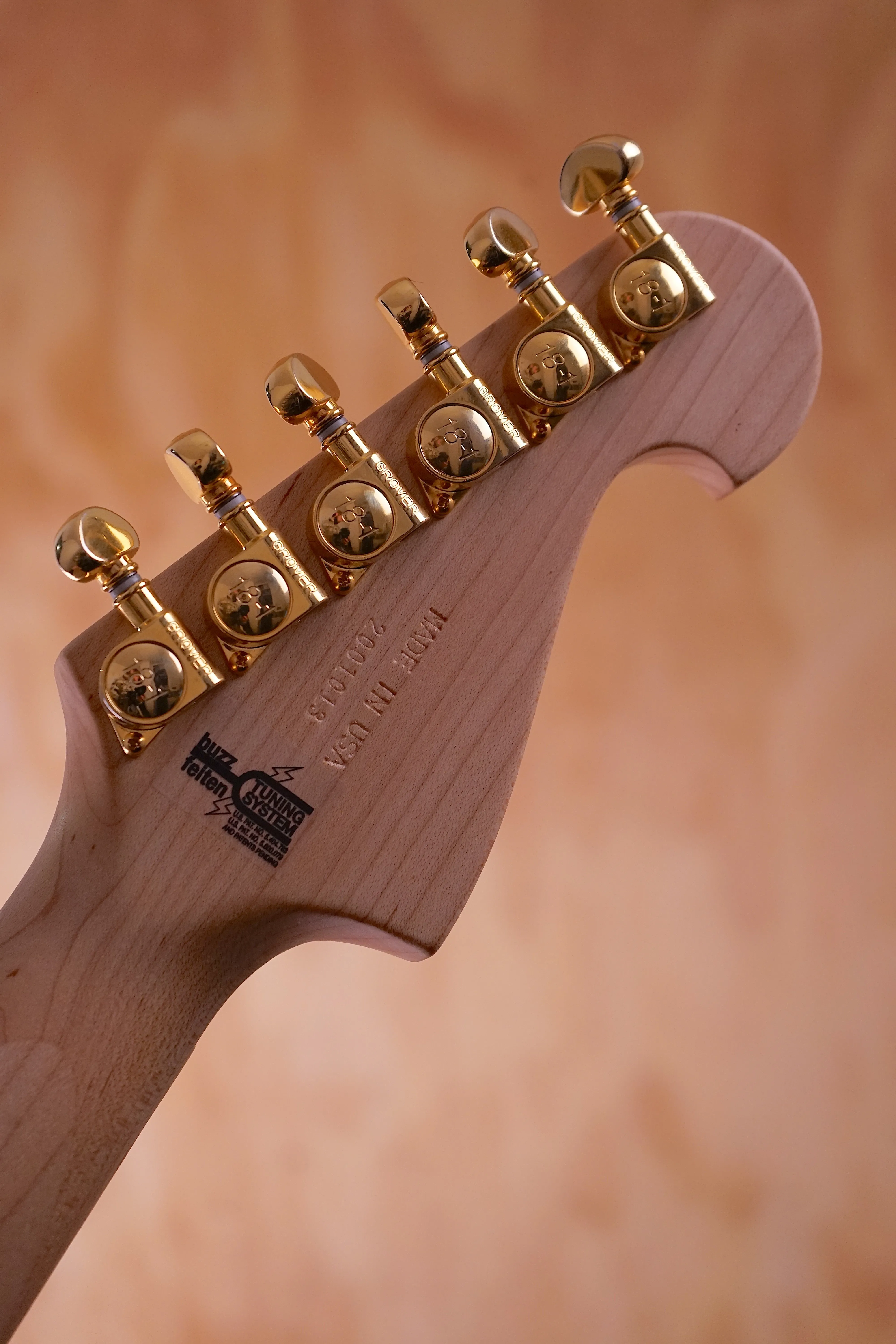Washburn Nele Standard, USED